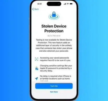 田阳苹果授权维修店分享被盗设备保护功能开启方法 