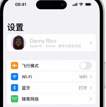 田阳appleID维修服务iPhone设置中Apple ID显示为灰色无法使用 