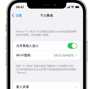 田阳apple服务站点分享iPhone上个人热点丢失了怎么办 