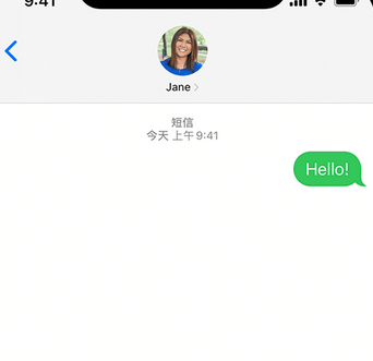 田阳apple维修iPhone上无法正常发送iMessage信息