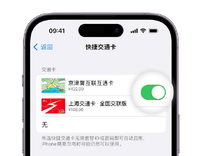 田阳apple维修点分享iPhone上更换Apple Pay快捷交通卡手绘卡面 