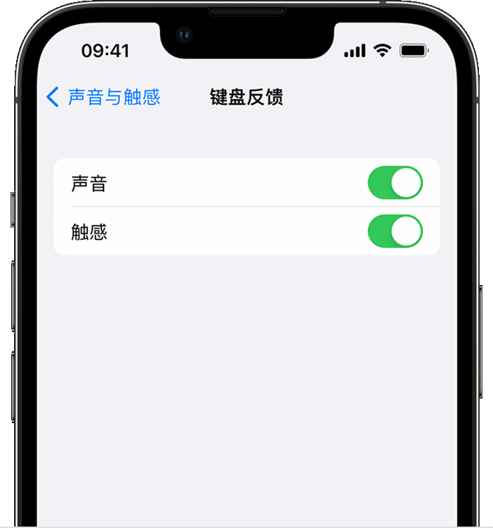 田阳苹果14维修店分享如何在 iPhone 14 机型中使用触感键盘 