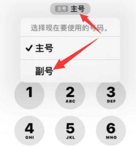 田阳苹果14维修店分享iPhone 14 Pro Max使用副卡打电话的方法 