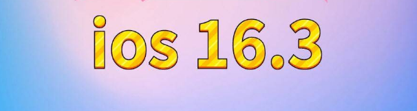 田阳苹果服务网点分享苹果iOS16.3升级反馈汇总 