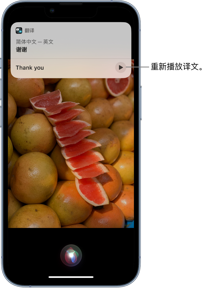 田阳苹果14维修分享 iPhone 14 机型中使用 Siri：了解 Siri 能帮你做什么 