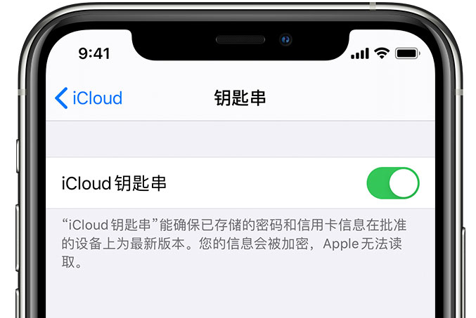 田阳苹果手机维修分享在 iPhone 上开启 iCloud 钥匙串之后会储存哪些信息 