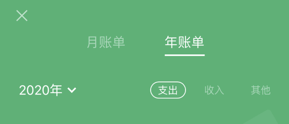 田阳苹果手机维修分享如何在 iPhone 上查看支付宝和微信年支出账单 