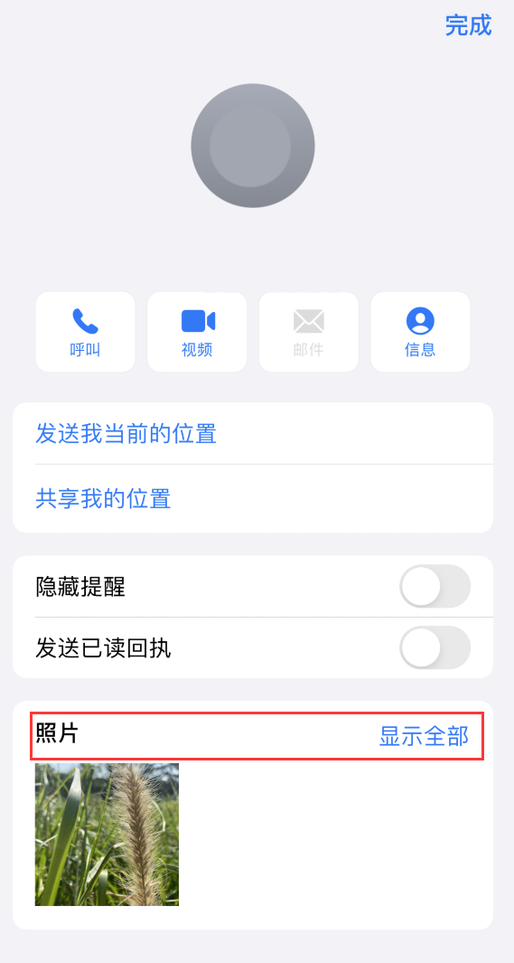 田阳苹果手机维修分享如何快速查找 iMessage 信息中的图片等附件 