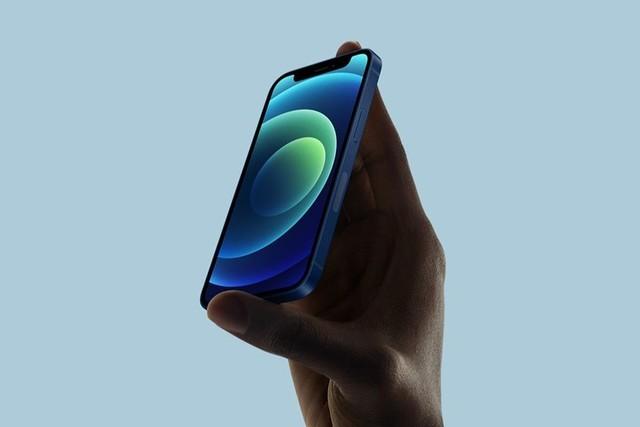 田阳苹果手机维修分享iPhone 12 mini辐射很大吗 